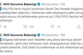 son-dakika-zeytin-dali-harekati-bolgesindeki-14050361_4313_m