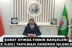 subat_ayinda_findik_bahceleri_ile_ilgili_yapilmasi_gereken_islemler_h45531_81e05