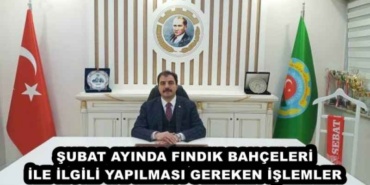 subat_ayinda_findik_bahceleri_ile_ilgili_yapilmasi_gereken_islemler_h45531_81e05