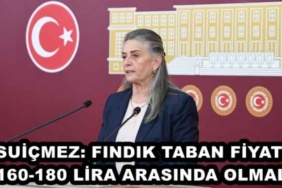 suicmez_findik_taban_fiyati_160_180_lira_arasinda_olmali_h48379_9b996
