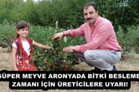 super_meyve_aronyada_bitki_besleme_zamani_icin_ureticilere_uyari_h52143_eb054