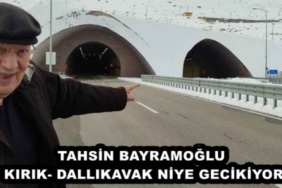 tahsin_bayramoglu_kirik_dallikavak_niye_gecikiyor_h45582_76d34