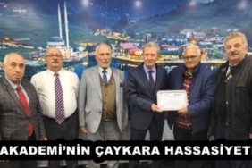 takademinin_caykara_hassasiyeti_h55657_3c389