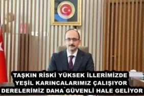 taskin_riski_yuksek_illerimizde_yesil_karincalarimiz_calisiyor_derelerimiz_daha_guvenli_hale_geliyor_h48625_b7177