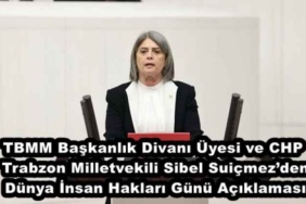 tbmm_baskanlik_divani_uyesi_ve_chp_trabzon_milletvekili_sibel_suicmezden_dunya_insan_haklari_gunu_aciklamasi_h50505_815f7