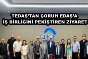 tedastan_coruh_edasa_is_birligini_pekistiren_ziyaret_h48473_4155a