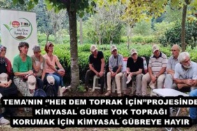 temanin_her_dem_toprak_icinprojesinde_kimyasal_gubre_yok_topragi_korumak_icin_kimyasal_gubreye_hayir_h49148_86c72