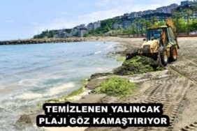 temizlenen_yalincak_plaji_goz_kamastiriyor_h47967_fc438
