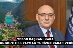 tesob_baskani_kara_uzungol_e_hes_yapmak_turizme_zarar_verir_h50224_937e8