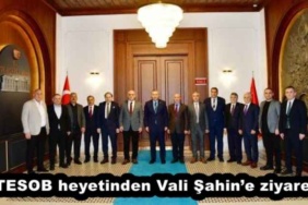 tesob_heyetinden_vali_sahine_ziyaret_h56763_25b6d