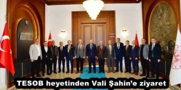 tesob_heyetinden_vali_sahine_ziyaret_h56763_25b6d