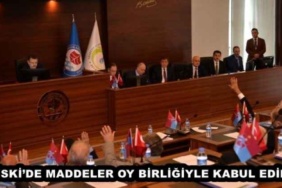 tiskide_maddeler_oy_birligiyle_kabul_edildi_h47690_dacd1