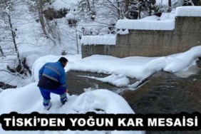 tiskiden_yogun_kar_mesaisi_h51457_88ce6