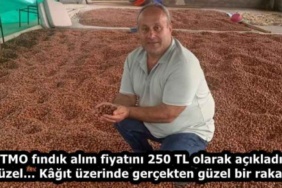 tmo_findik_alim_fiyatini_250_tl_olarak_acikladi_guzel_kgit_uzerinde_gercekten_guzel_bir_rakam_h59505_f1fef