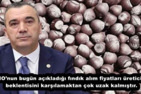 tmonun_bugun_acikladigi_findik_alim_fiyatlari_ureticinin_beklentisini_karsilamaktan_cok_uzak_kalmistir_h54171_d2b5a