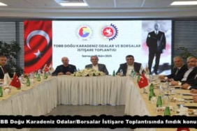 tobb_dogu_karadeniz_odalarborsalar_istisare_toplantisinda_findik_konusuldu_h55057_20f29