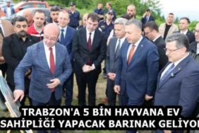 trabzon_a_5_bin_hayvana_ev_sahipligi_yapacak_barinak_geliyor_h58807_2510b