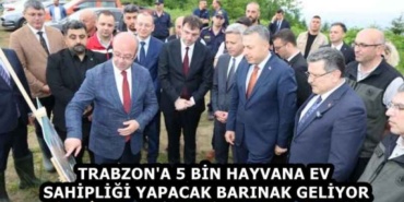 trabzon_a_5_bin_hayvana_ev_sahipligi_yapacak_barinak_geliyor_h58807_2510b