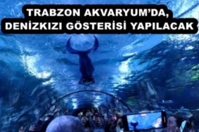 trabzon_akvaryumda_denizkizi_gosterisi_yapilacak_h54402_f817c