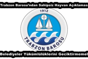 trabzon_barosundan_sahipsiz_hayvan_aciklamasi_belediyeler_yukumluluklerini_geciktirmemeli_h57113_654ba