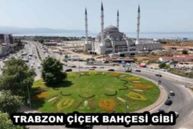 trabzon_cicek_bahcesi_gibi_h47917_d050e