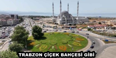 trabzon_cicek_bahcesi_gibi_h47917_d050e