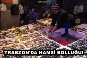 trabzon_da_hamsi_bollugu_h50232_c107a