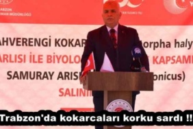 trabzon_da_kokarcalari_korku_sardi_h53605_e3550