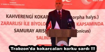 trabzon_da_kokarcalari_korku_sardi_h53605_e3550