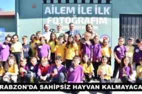 trabzon_da_sahipsiz_hayvan_kalmayacak_h49296_a78a3