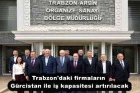 trabzon_daki_firmalarin_gurcistan_ile_is_kapasitesi_artirilacak_h52413_4035a