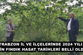 trabzon_il_ve_ilcelerinde_2024_yili_icin_findik_hasat_tarihleri_belli_oldu_h48349_94871