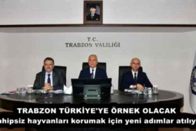 trabzon_turkiye_ye_ornek_olacak_sahipsiz_hayvanlari_korumak_icin_yeni_adimlar_atiliyor_h54380_5cd30