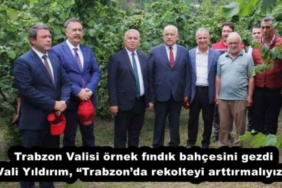 trabzon_valisi_ornek_findik_bahcesini_gezdi_vali_yildirim_trabzonda_rekolteyi_arttirmaliyiz_h53892_06876