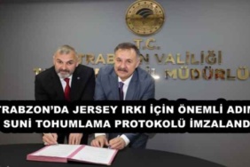 trabzonda_jersey_irki_icin_onemli_adim_suni_tohumlama_protokolu_imzalandi_h51983_43066