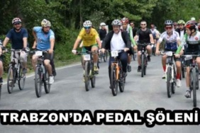 trabzonda_pedal_soleni_h48779_b7390