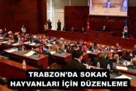 trabzonda_sokak_hayvanlari_icin_duzenleme_h55831_6a844
