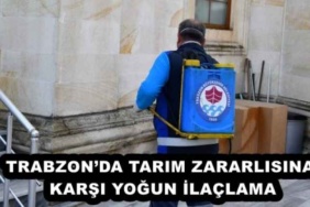 trabzonda_tarim_zararlisina_karsi_yogun_ilaclama_h54923_71c38