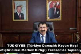 tudkiyeb_turkiye_damizlik_koyun_keci_yetistiricileri_merkez_birligi_trabzonda_toplaniyor_h51279_76fcc