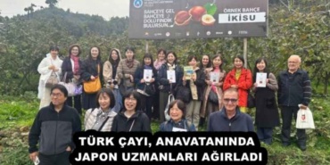 turk_cayi_anavataninda_japon_uzmanlari_agirladi_h54985_8554f