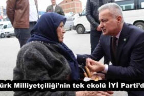 turk_milliyetciliginintek_ekolu_iyi_partidir_h51730_d6d2f