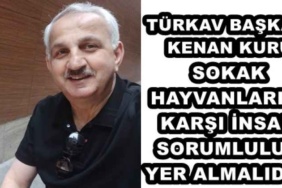 turkav_baskani_kenan_kuru_sokak_hayvanlarina_karsi_insani_sorumluluk_yer_almalidir_h48350_876e0
