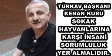 turkav_baskani_kenan_kuru_sokak_hayvanlarina_karsi_insani_sorumluluk_yer_almalidir_h48350_876e0