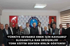 turkiye_sevdamiz_emek_icin_kavgamiz_sloganiyla_kan_degisikligi_turk_egitim_senden_birlik_gosterisi_h55769_96461