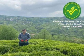 turkiye_ziraatcilar_dernegi_rize_subesi_baskani_mufit_akmandan_gubreleme_aciklamasi_h57420_3454c
