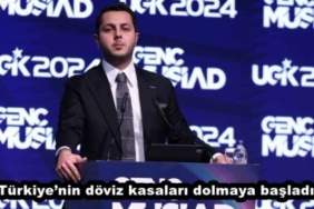 turkiyenin_doviz_kasalari_dolmaya_basladi_h48734_e0dc6