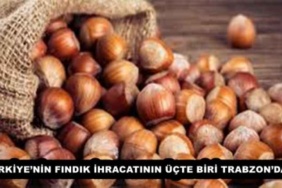 turkiyenin_findik_ihracatinin_ucte_biri_trabzondan_h51141_0e6be