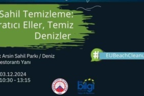 yaratici_eller_temiz_denizler_sahil_temizligi_etkinligi_ile_gelecege_iz_birakilacak_h50289_a55c2