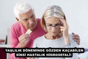 yaslilik_doneminde_gozden_kacabilen_sinsi_hastalik_hidrosefali_h48853_0f158