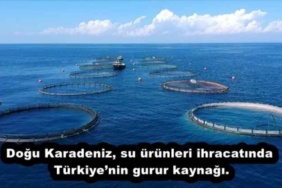yatirimi_engellemek_halkin_ekmegiyle_oynamaktir_h54598_5b7e9